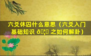 六爻休囚什么意思（六爻入门基础知识 🦁 之如何解卦）